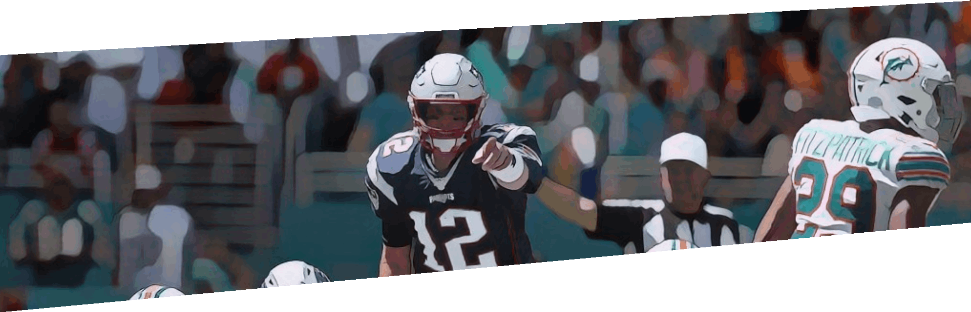 Brady pointing